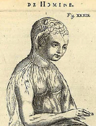 Detail of page from Decartes' De homine figuris. Please click on link below to view and resize entire page.